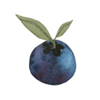 Huckleberry Paper Logo