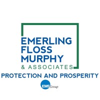 Emerling Floss Murphy & Associates, LLC Logo