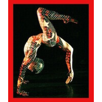 LUMINARIO BALLET OF LOS ANGELES Logo