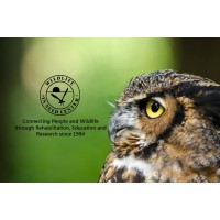 WILDLIFE IN NEED CENTER LTD Logo