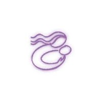 Womens Health Now Logo