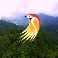 Sparrow Missions Logo