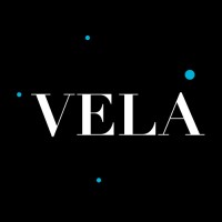 VELA Wealth Logo