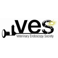VETERINARY ENDOSCOPY SOCIETY Logo