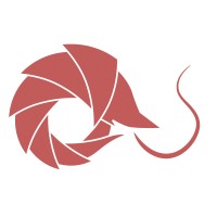Post Pro Gumbo LLC Logo