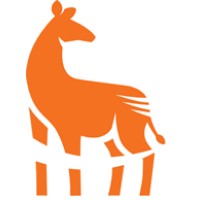 Okapi Technology Logo