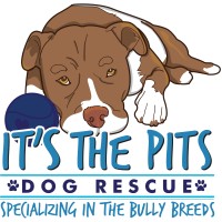 ITS THE PITS Logo