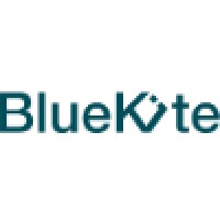 Blue Kite Logo