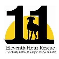 Eleventh Hour Rescue Logo