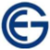 ELVICTOR GROUP INC Logo