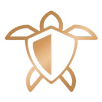 Best Times Financial Logo