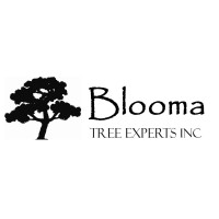 Blooma Tree Experts Logo