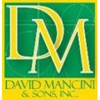 DAVID MANCINI & SONS, INC. Logo