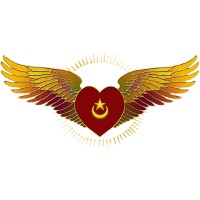 SUFI RUHANIAT INTERNATIONAL Logo