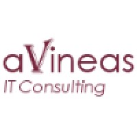aVineas IT Consulting Logo