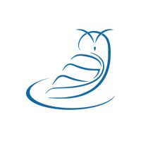 People Primetime International Inc. Logo