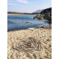 CARMEL RIVER WATERSHED CONSERVANCY Logo