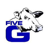 Five-G Consulting, Inc. Logo