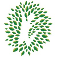 Texas Trees Foundation Logo