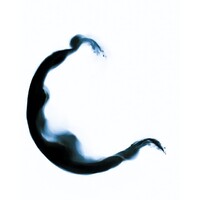 Chill Solutions Logo