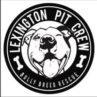 LEXINGTON PIT CREW INC Logo