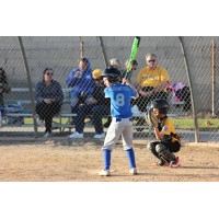 HUNTINGTON WEST LITTLE LEAGUE INC Logo