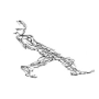 the art of dang Logo