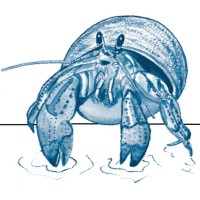 BlueShore Engineering LLC Logo