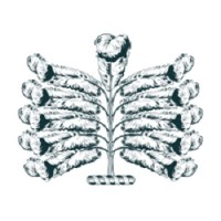 Ellenborough Park Logo