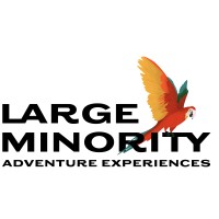 Large Minority Ltd. Logo