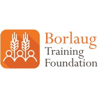Borlaug Training Foundation Logo