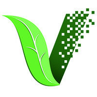 TATTOO VANISH Logo
