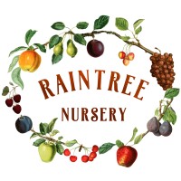Raintree Nursery Logo