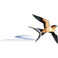 POTOMAC BUSINESS SERVICES, LLC Logo