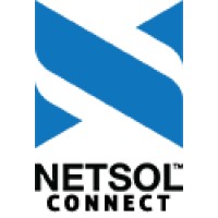 NetSol CONNECT Logo