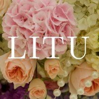 LITU Ltd Logo