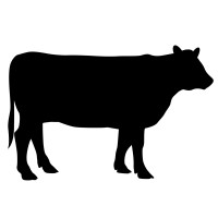 Svenskt Kött Logo
