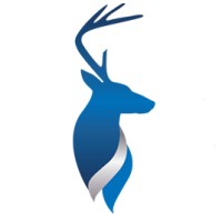 Buckingham Self-Funded Solutions Logo