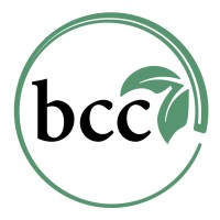 The Branch Calvary Chapel Logo