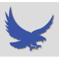 Blue Talon Technology Group, LLC Logo