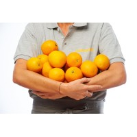 Menssana Belgium Logo