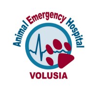 Animal Emergency Hospital of Volusia Logo