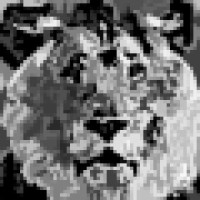 The Blanchard Group Enterprises Inc Logo