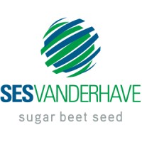 SESVANDERHAVE Logo