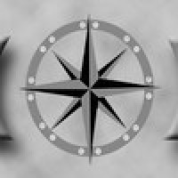 PRECISION TACTICAL TRAINING & CONSULTANTS LLC Logo
