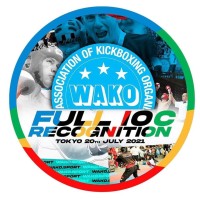 WAKO TEAM USA KICKBOXING Logo