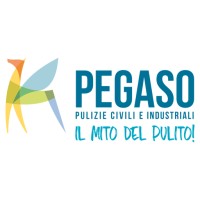 Pegaso srl Logo