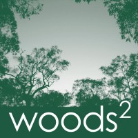 Woods Squared Logo