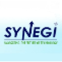 Synegi Logo