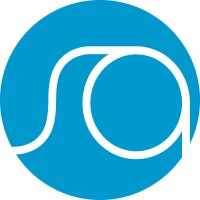 Sein Analytics Logo